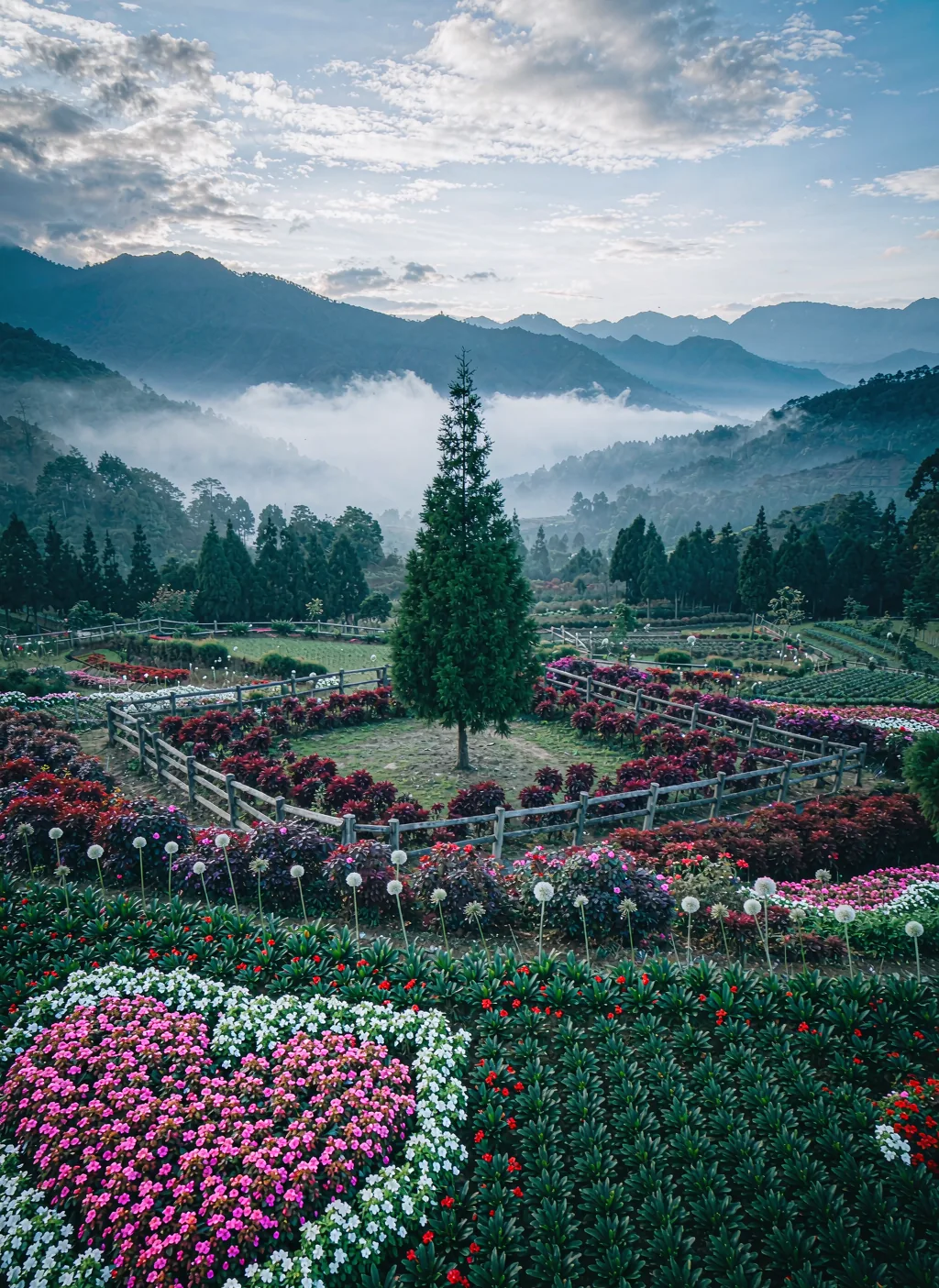 Doi Tung Royal Villa & Gardens